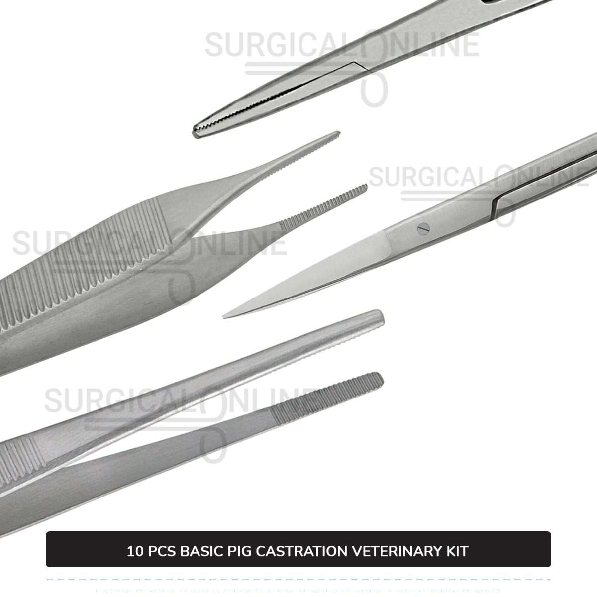 10 Pcs Basic Pig Castration Kit Stainless Steel Surgical Veterinary Instruments Set with ???? Carrying Case