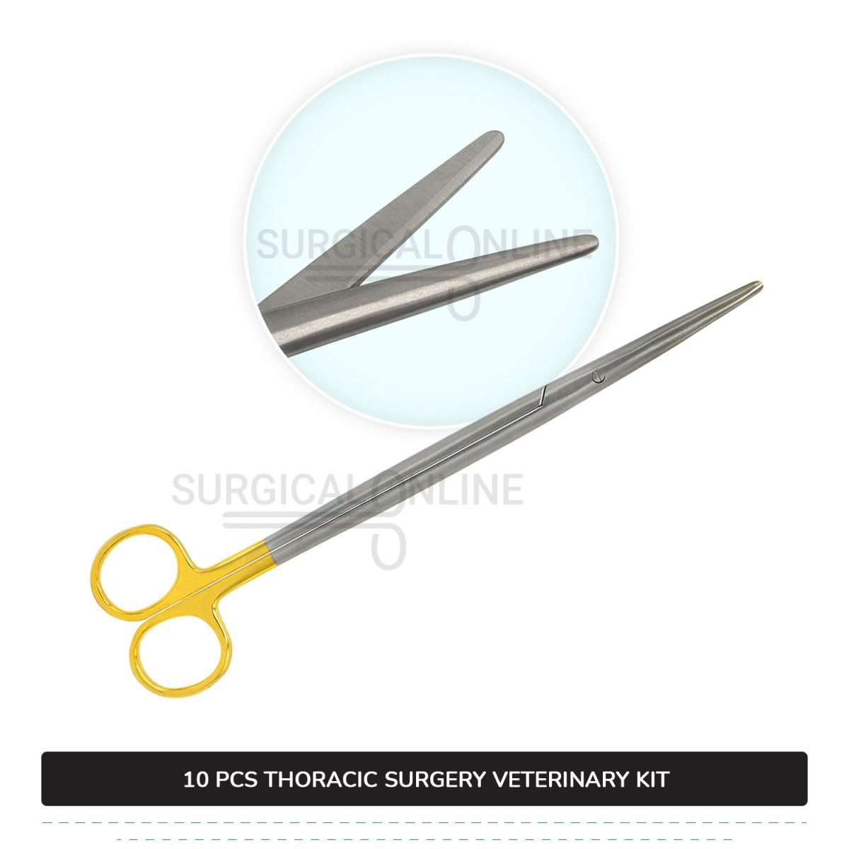 10 Pcs Thoracic Surgery Kit Stainless Steel Surgical Veterinary Instruments Set