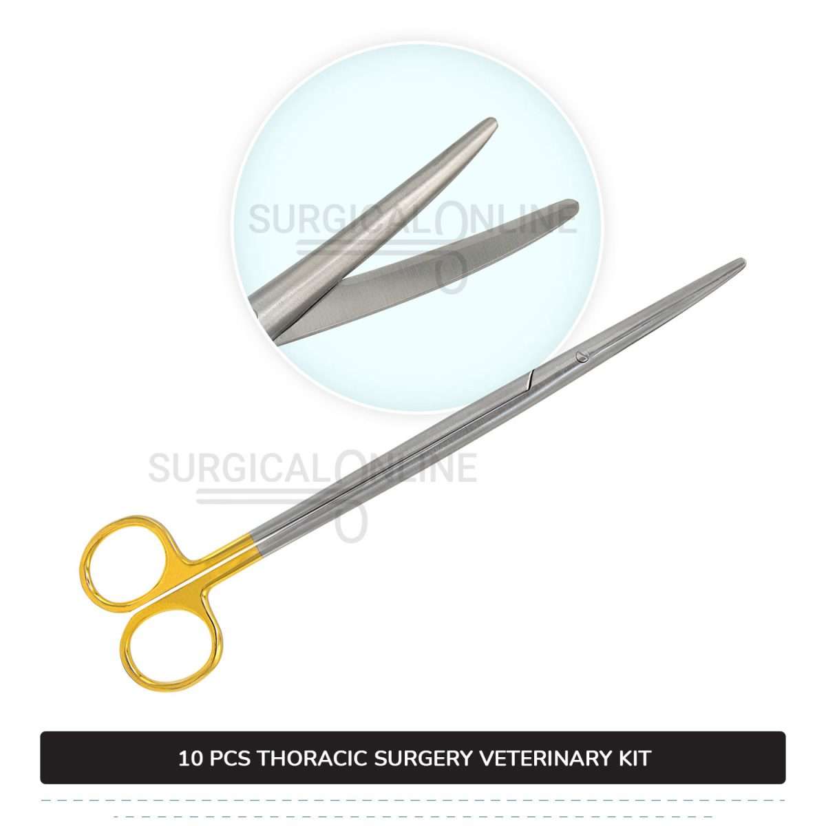 10 Pcs Thoracic Surgery Kit Stainless Steel Surgical Veterinary Instruments Set