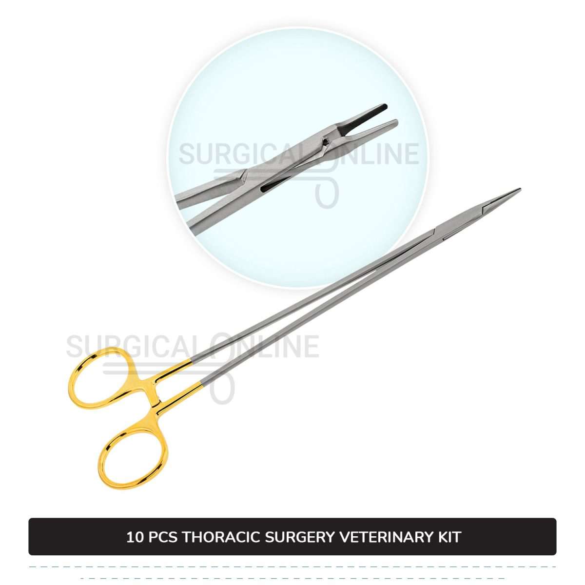 10 Pcs Thoracic Surgery Kit Stainless Steel Surgical Veterinary Instruments Set