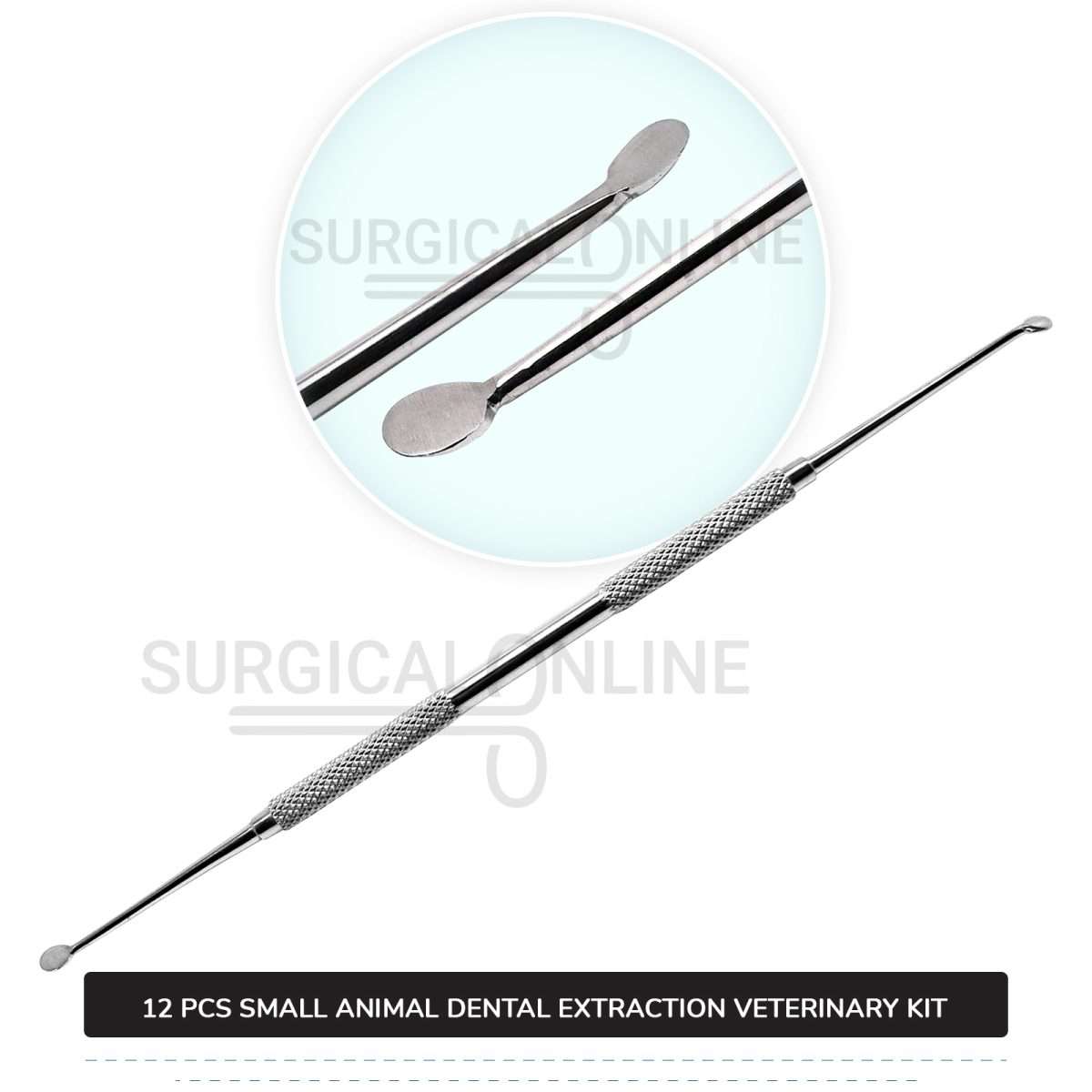 12 Pcs Small Animal Dental Extraction Kit Stainless Steel Surgical Veterinary Instruments Set with ???? Blades