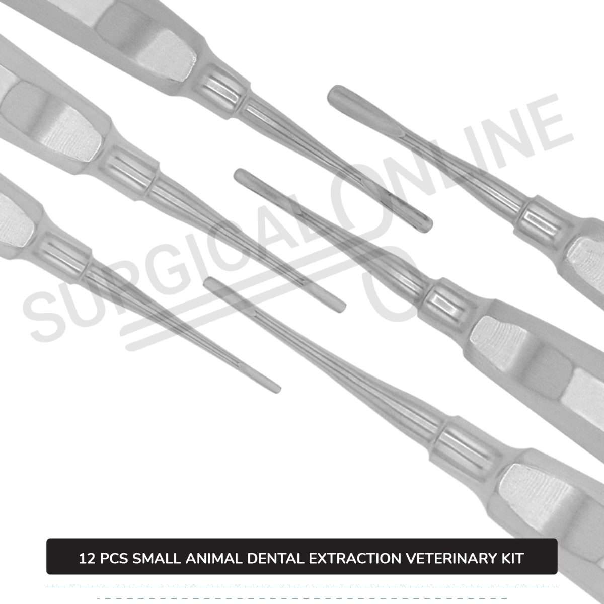12 Pcs Small Animal Dental Extraction Kit Stainless Steel Surgical Veterinary Instruments Set with ???? Blades