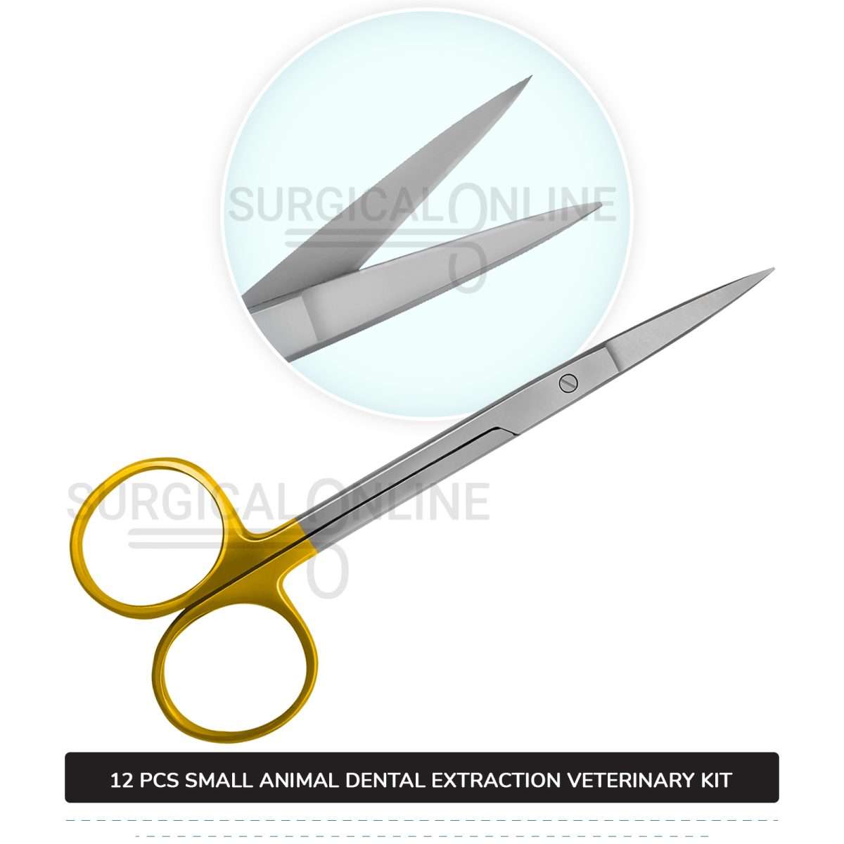 12 Pcs Small Animal Dental Extraction Kit Stainless Steel Surgical Veterinary Instruments Set with ???? Blades