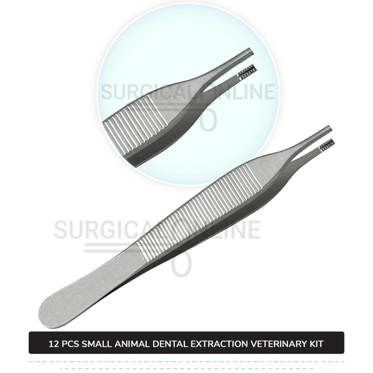 12 Pcs Small Animal Dental Extraction Kit Stainless Steel Surgical Veterinary Instruments Set with ???? Blades