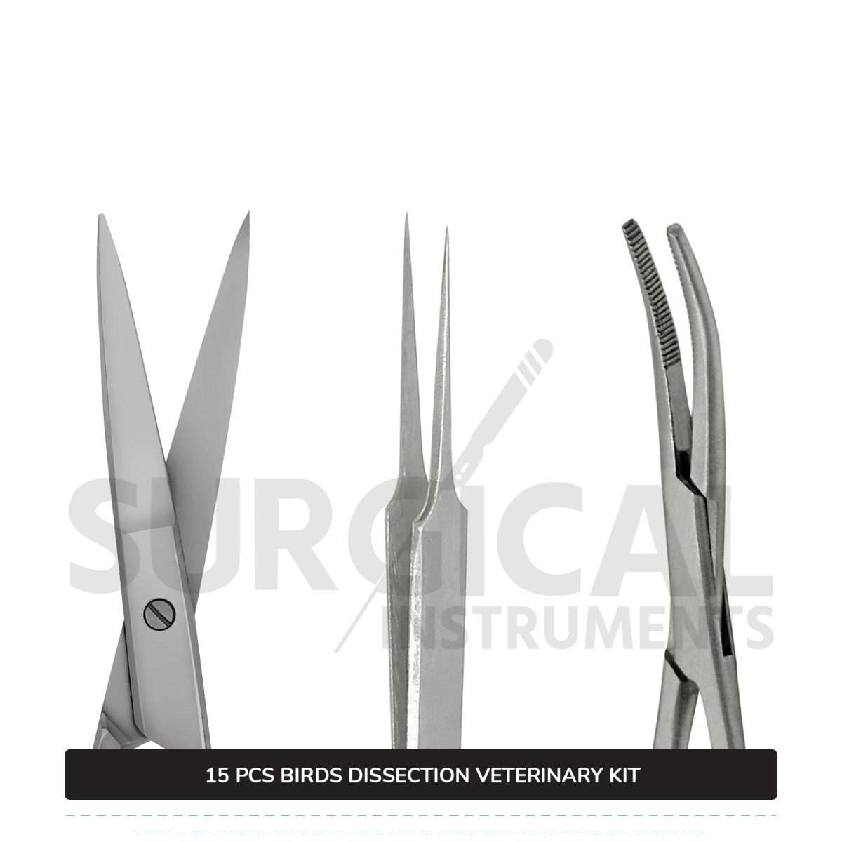 15 Pcs Birds Dissection Kit Stainless Steel Surgical Veterinary Instruments Set with FREE Carrying Case