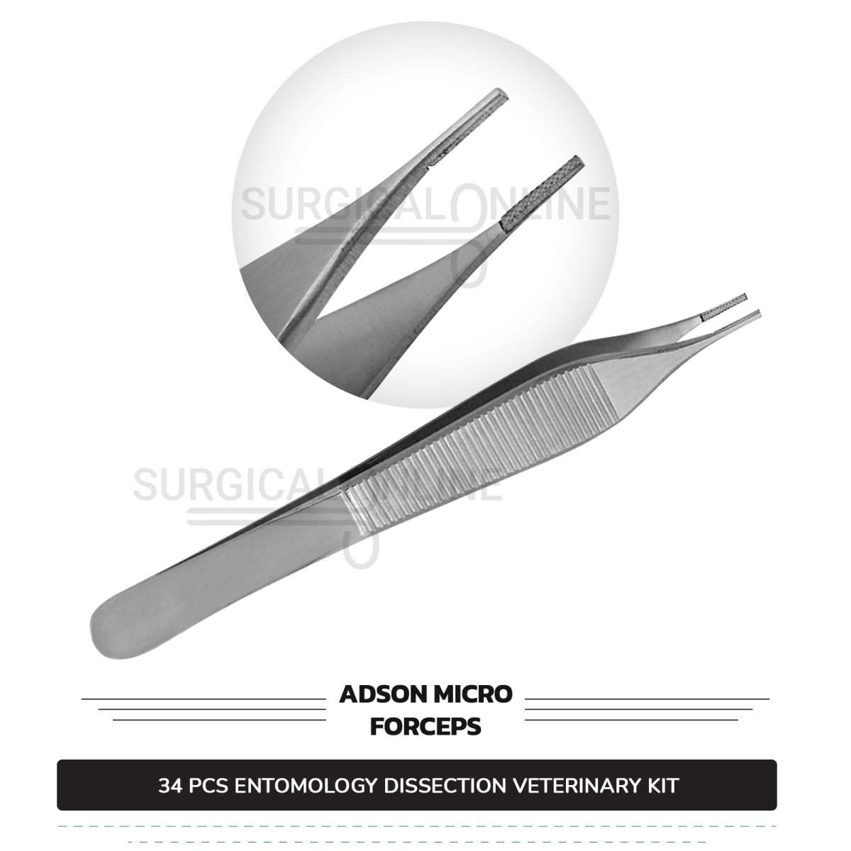34 Pcs Entomology Dissection Kit Stainless Steel Veterinary Instruments Set with ???? Carrying Case