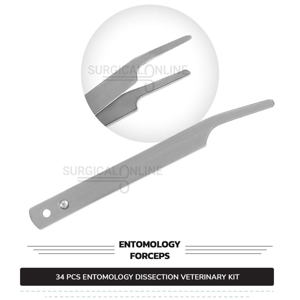34 Pcs Entomology Dissection Kit Stainless Steel Veterinary Instruments Set with ???? Carrying Case