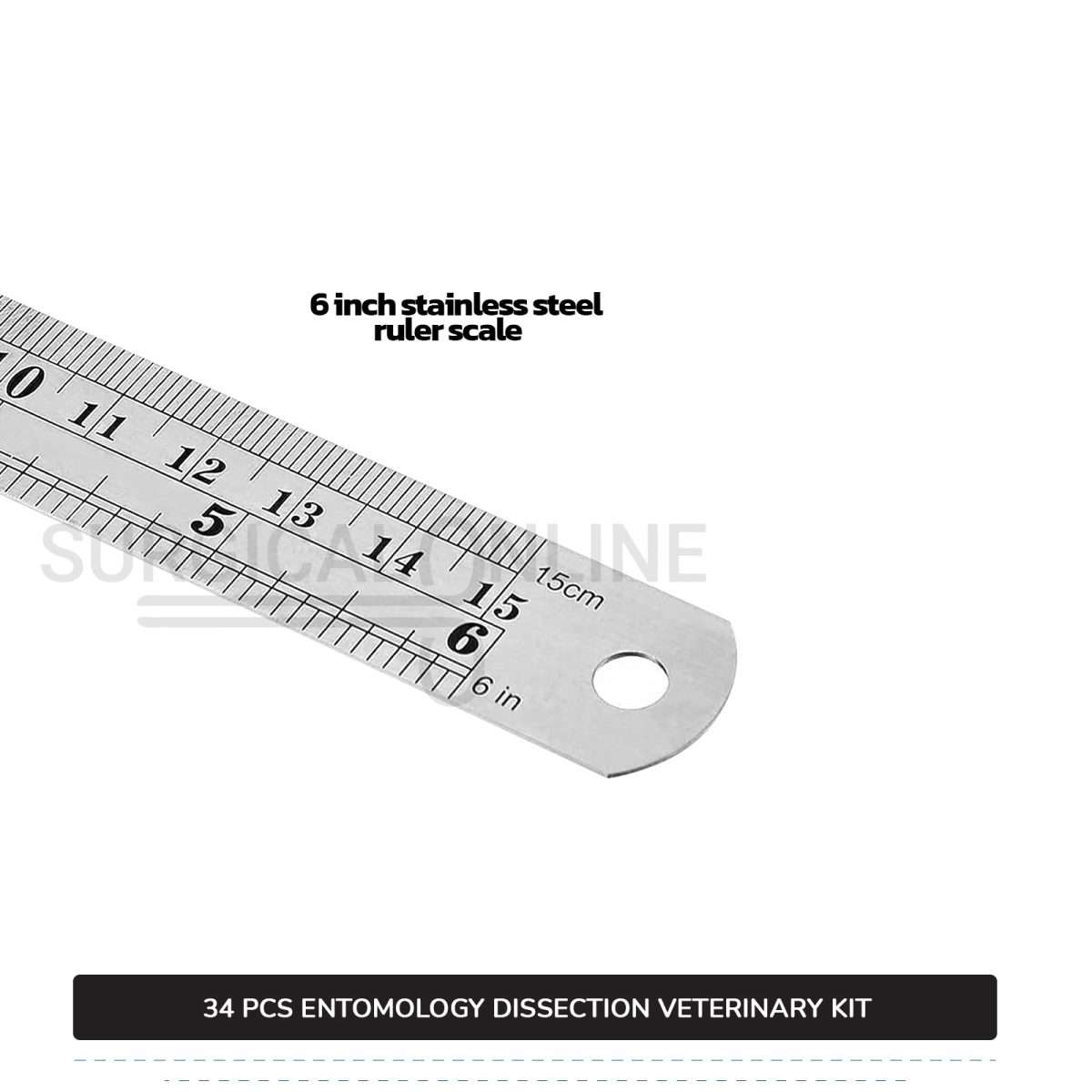 34 Pcs Entomology Dissection Kit Stainless Steel Veterinary Instruments Set with ???? Carrying Case