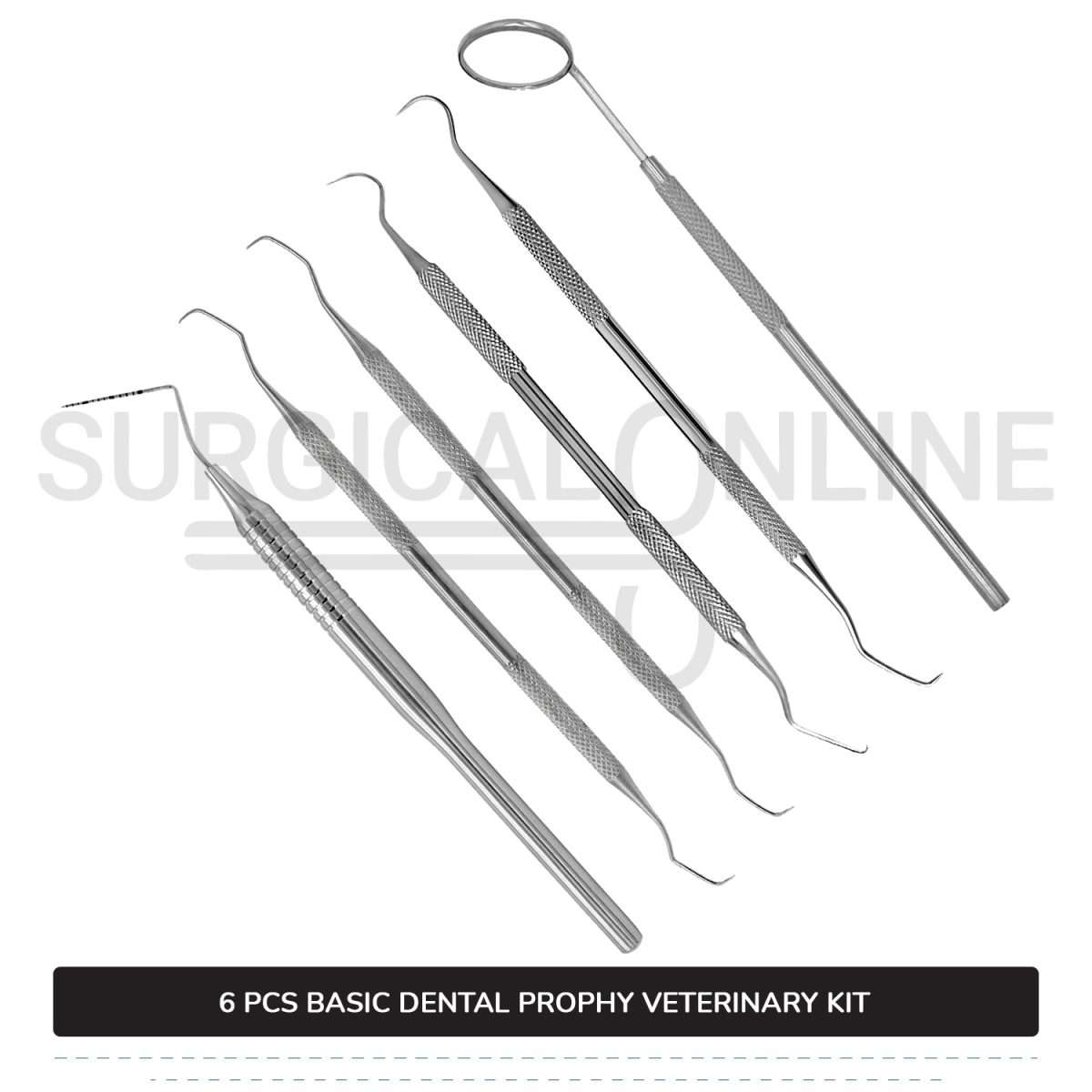 6 Pcs Basic Dental Prophy Kit Stainless Steel Surgical Veterinary Instruments Set