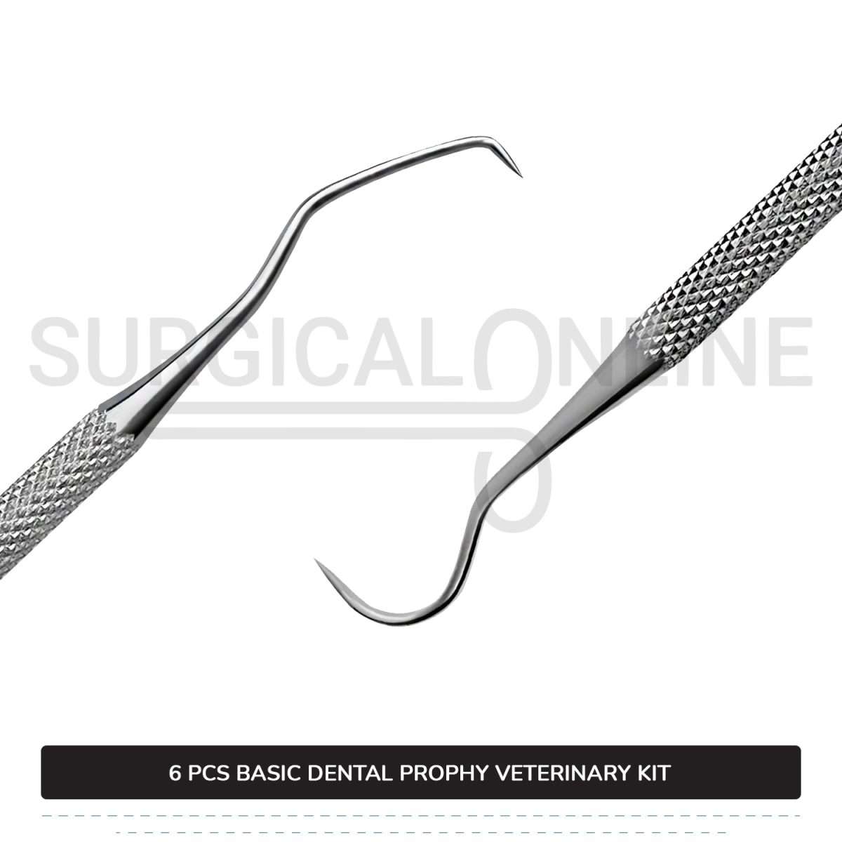 6 Pcs Basic Dental Prophy Kit Stainless Steel Surgical Veterinary Instruments Set
