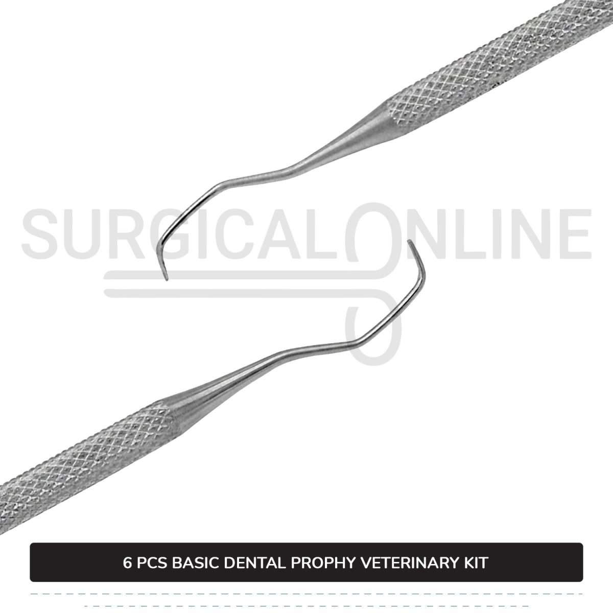6 Pcs Basic Dental Prophy Kit Stainless Steel Surgical Veterinary Instruments Set