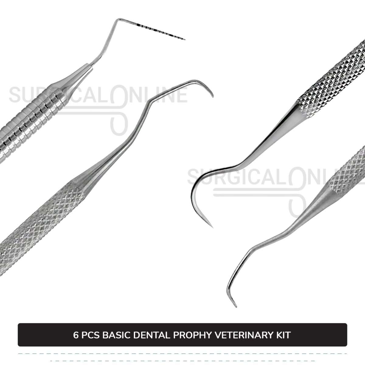 6 Pcs Basic Dental Prophy Kit Stainless Steel Surgical Veterinary Instruments Set
