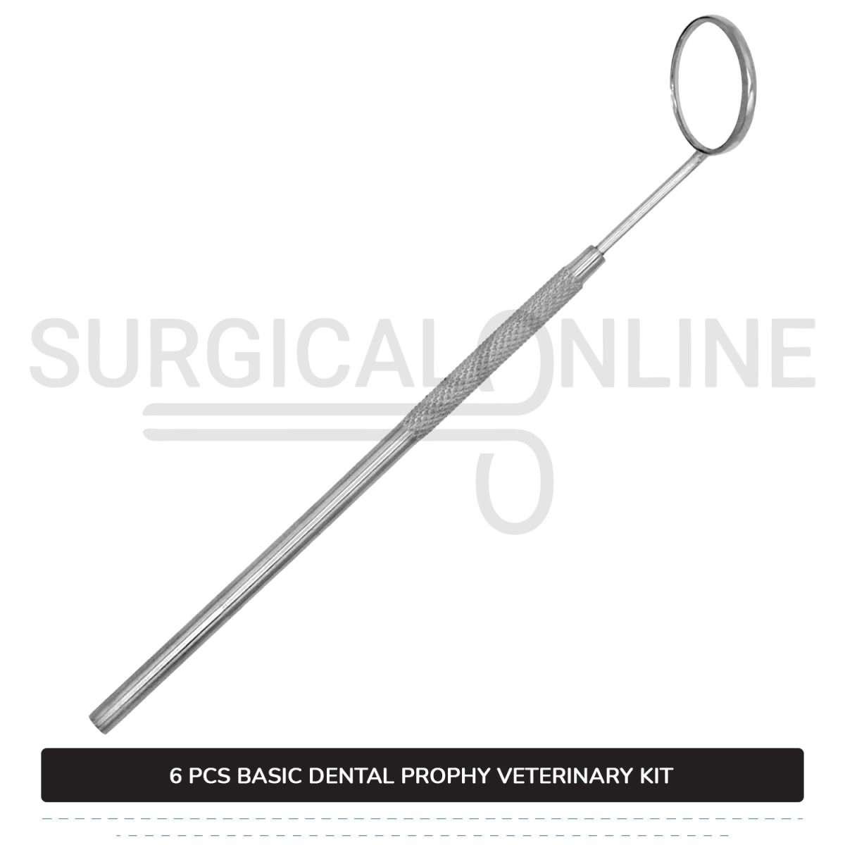 6 Pcs Basic Dental Prophy Kit Stainless Steel Surgical Veterinary Instruments Set