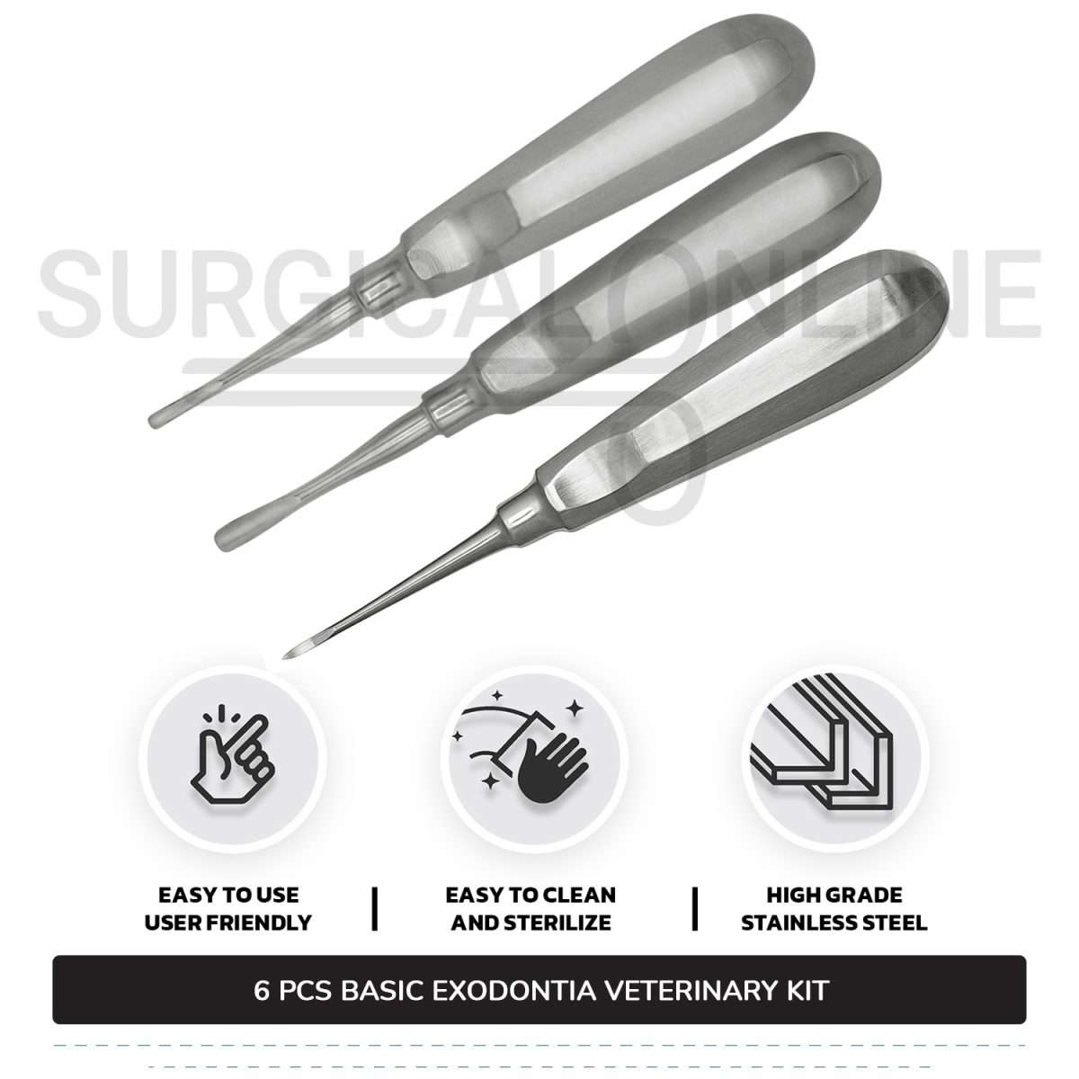 6 Pcs Basic Exodontia Set Stainless Steel Surgical Veterinary Instruments Kit