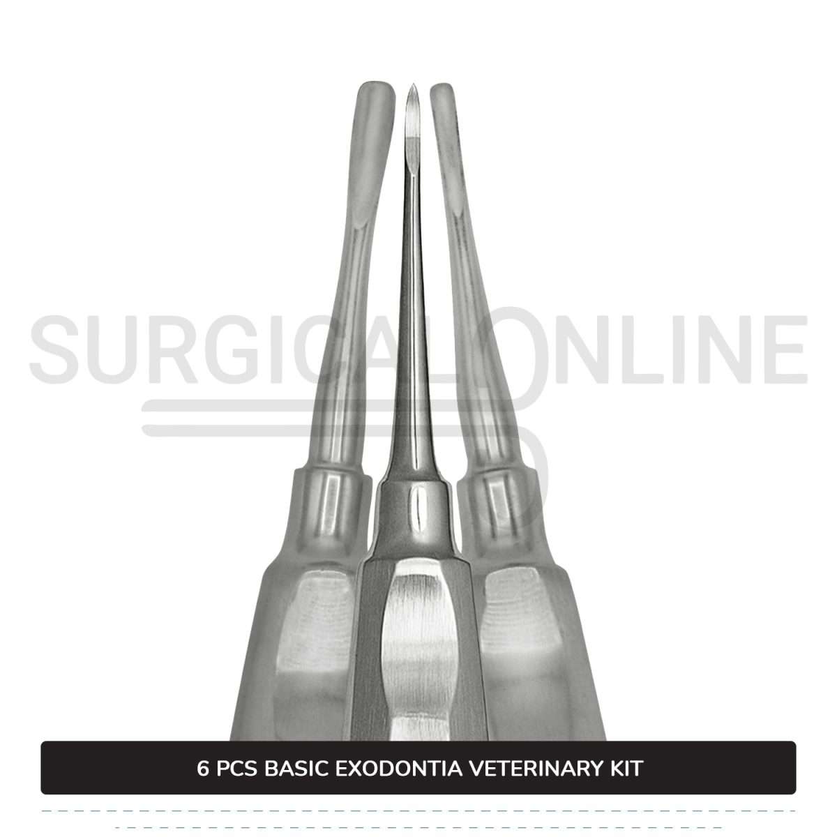 6 Pcs Basic Exodontia Set Stainless Steel Surgical Veterinary Instruments Kit