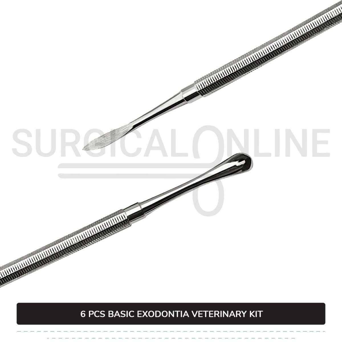 6 Pcs Basic Exodontia Set Stainless Steel Surgical Veterinary Instruments Kit