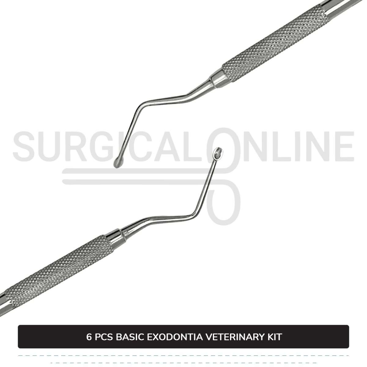 6 Pcs Basic Exodontia Set Stainless Steel Surgical Veterinary Instruments Kit