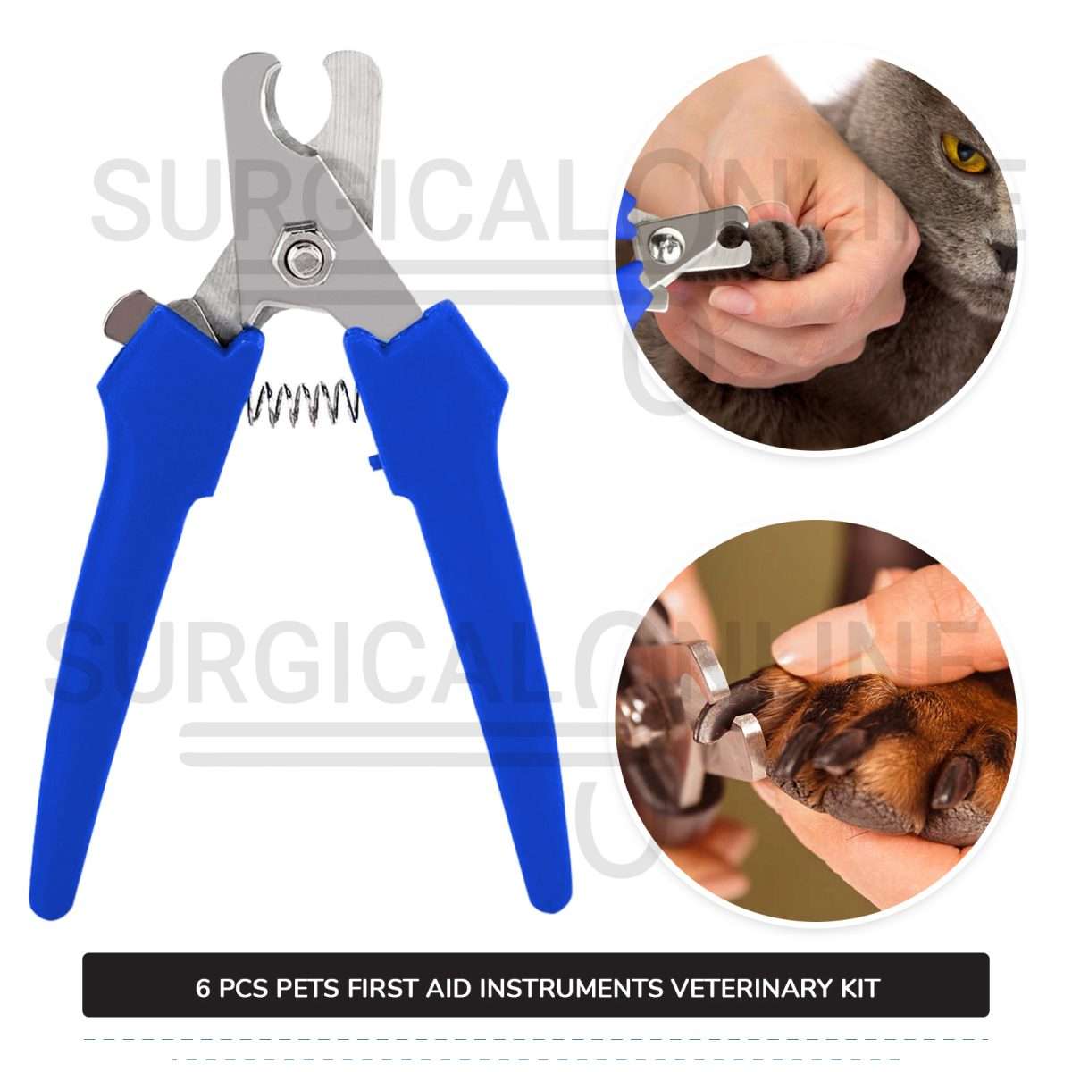 6 Pcs Pets First Aid Instruments Kit Stainless Steel Surgical Veterinary Instruments with ???? Carrying Case