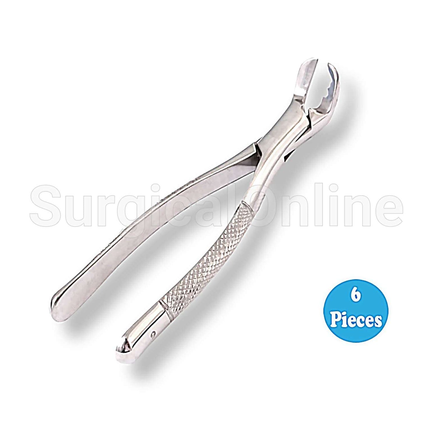 6 Extracting Forceps #6 Dental Tools