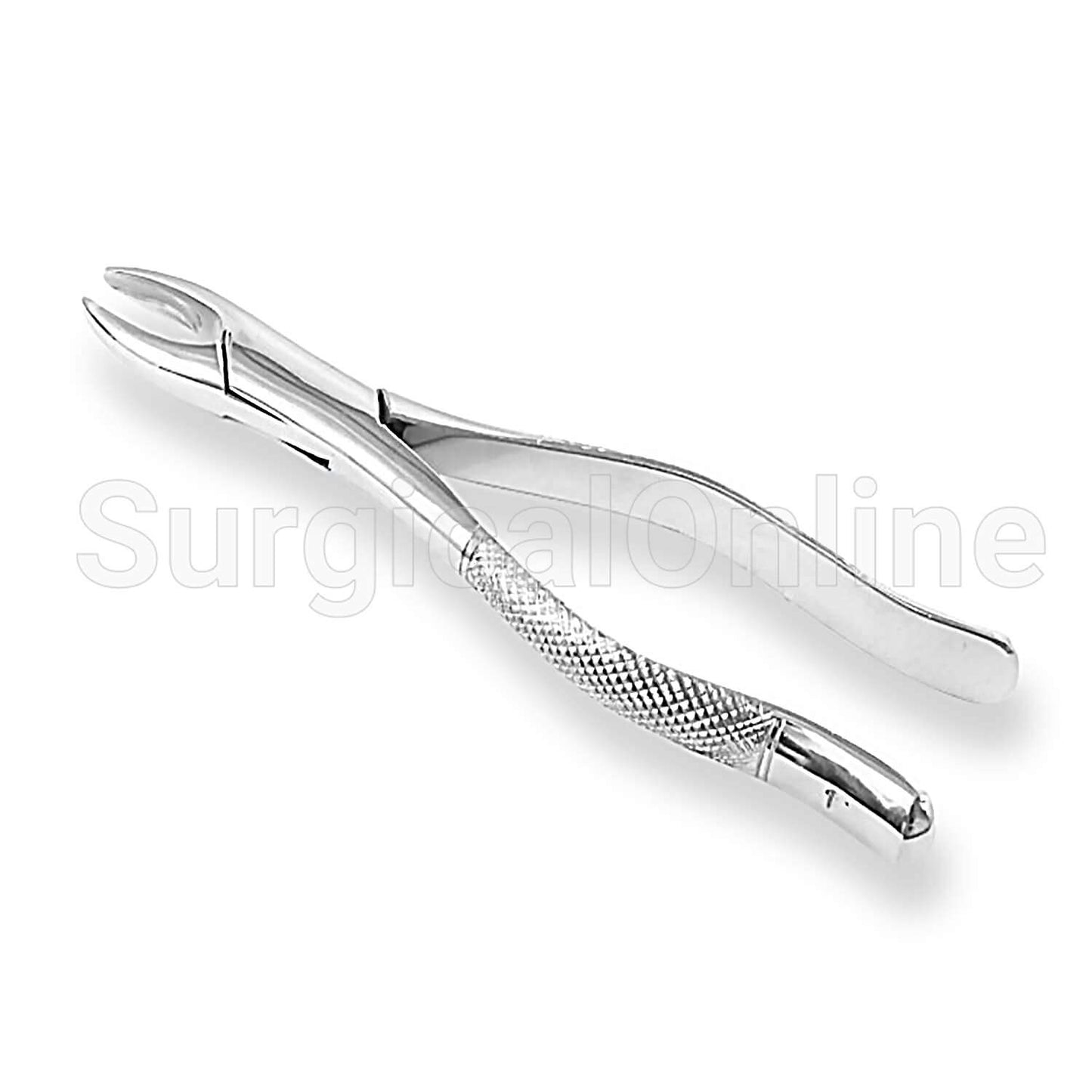 Dental Extracting Forceps #1 Dental
