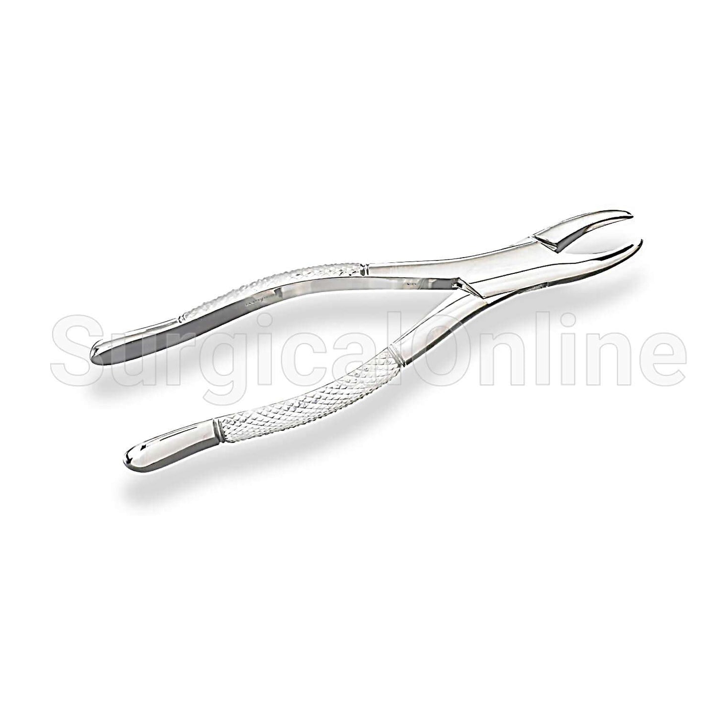 Extracting Forceps #38 Dental Surgical