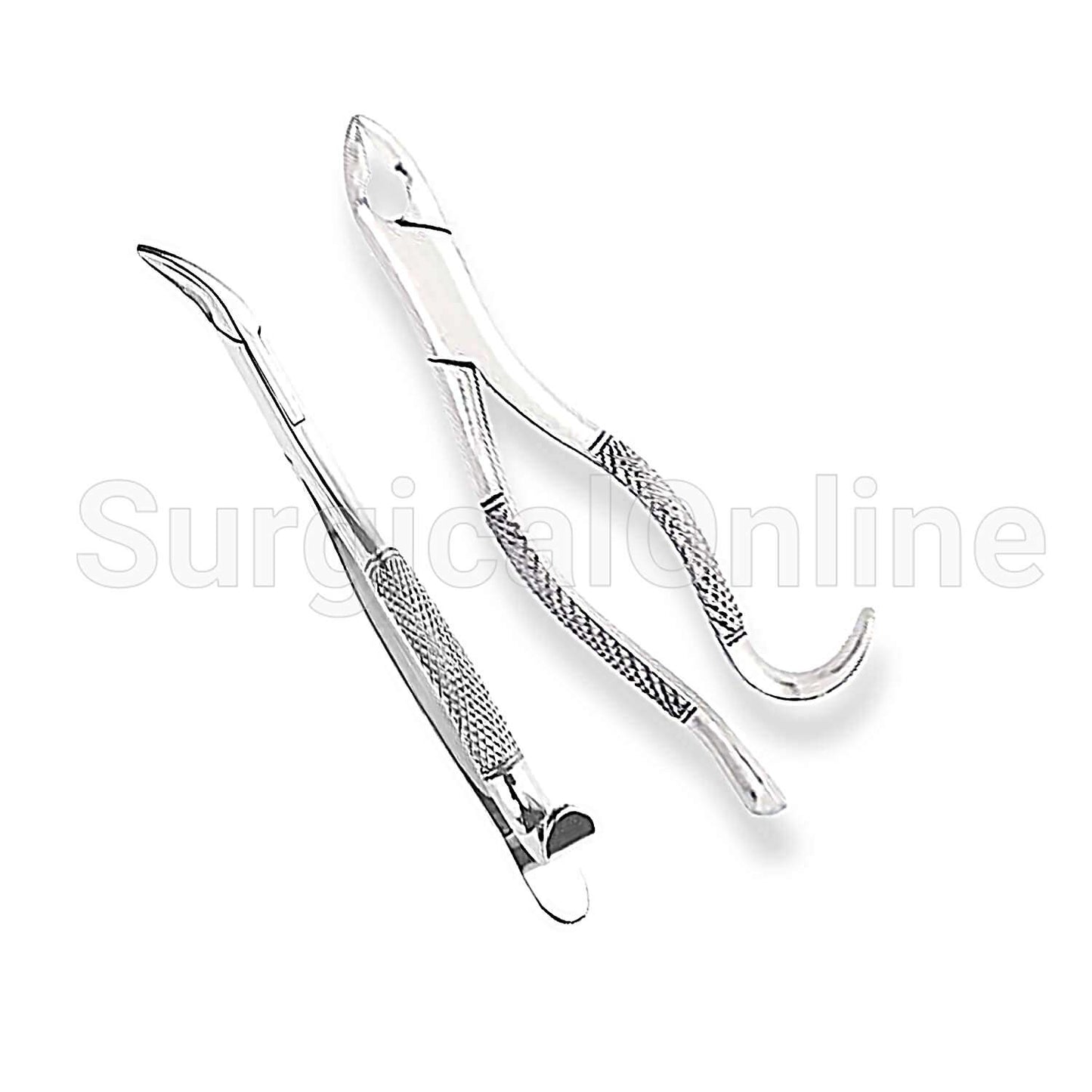Tooth Extraction forcep #288 Surgical Dental