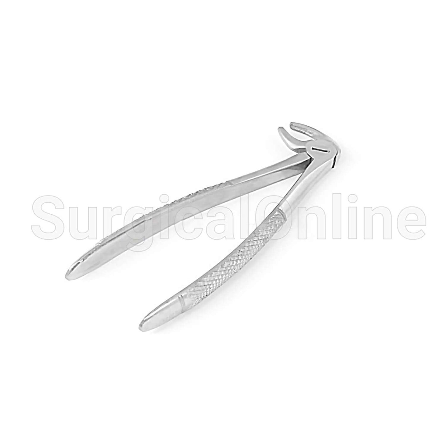 English Extracting Forceps No.33 C