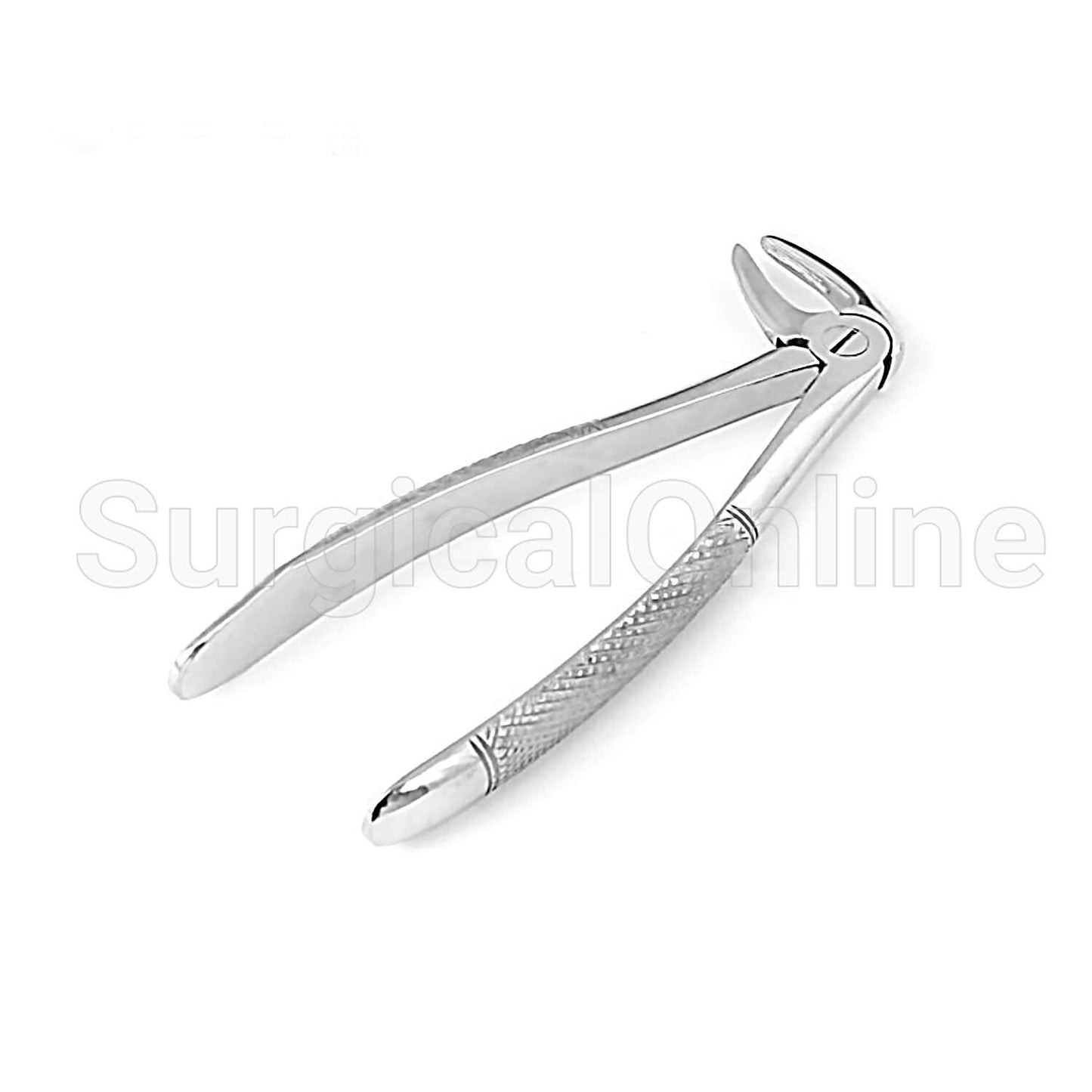 English Extracting Forceps No.33 M