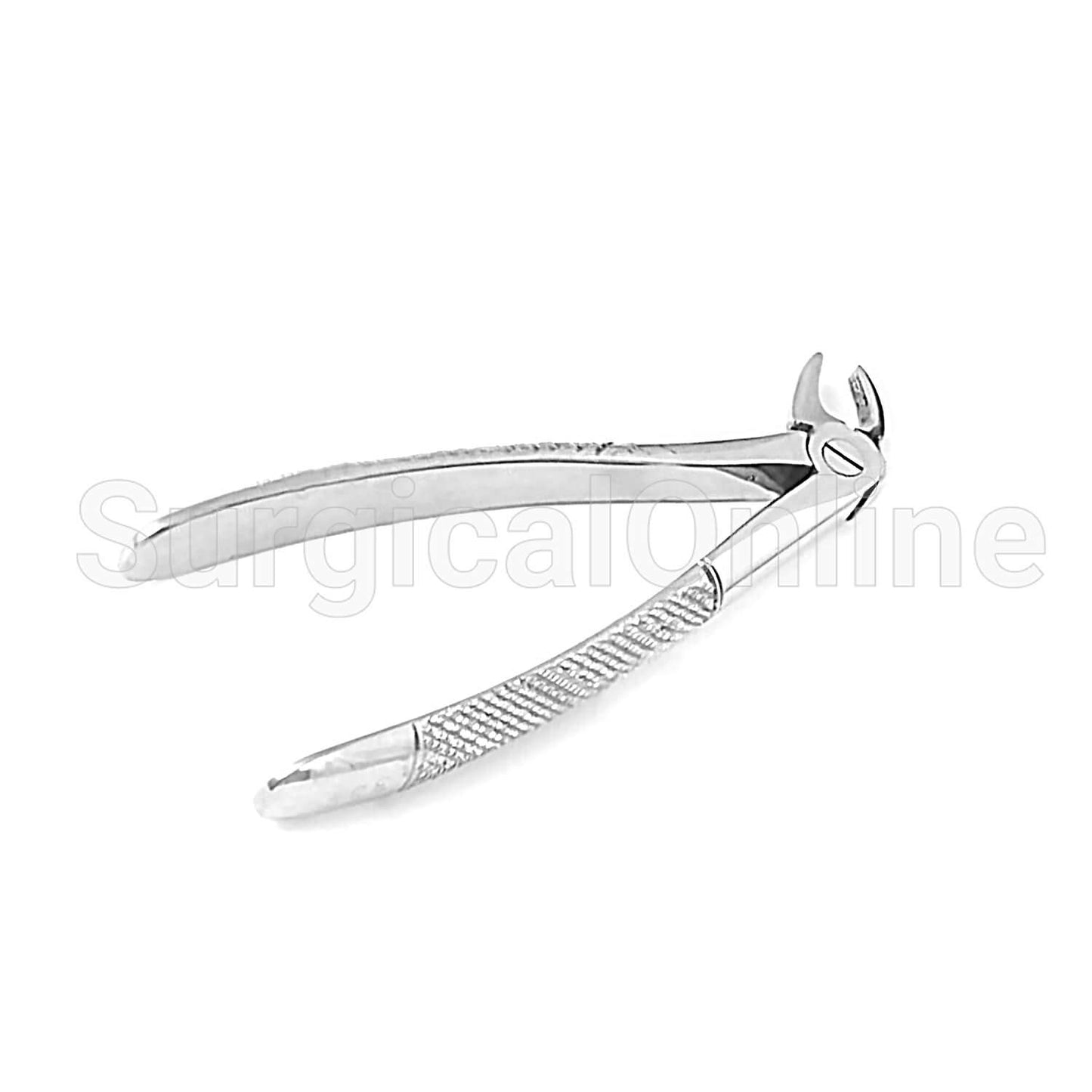 English Extracting Forceps No.33 S