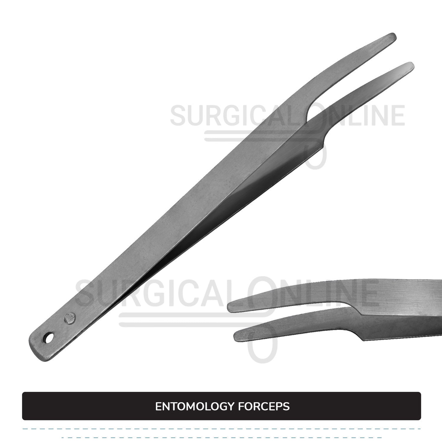Entomology Forceps 4.5"