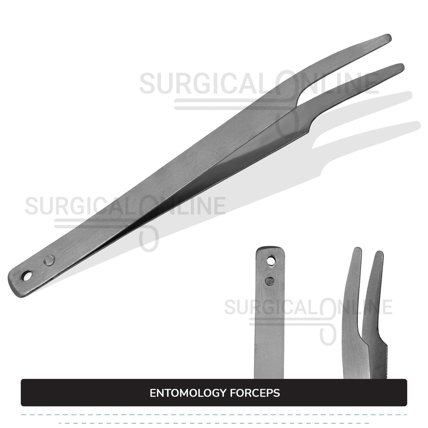 Entomology Forceps 4.5"