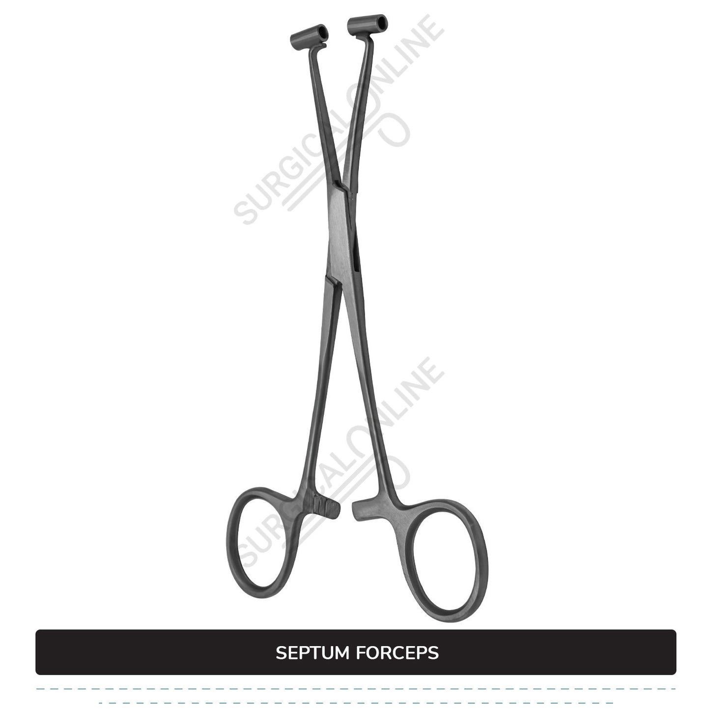 Septum Forceps 6″