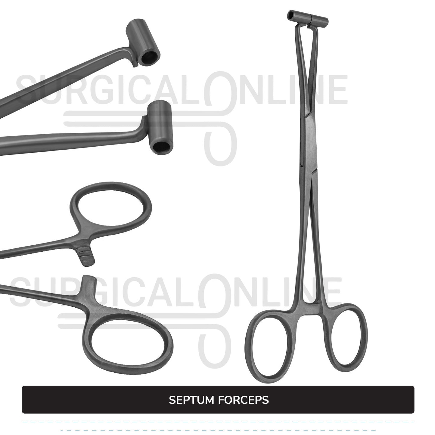 Septum Forceps 6″