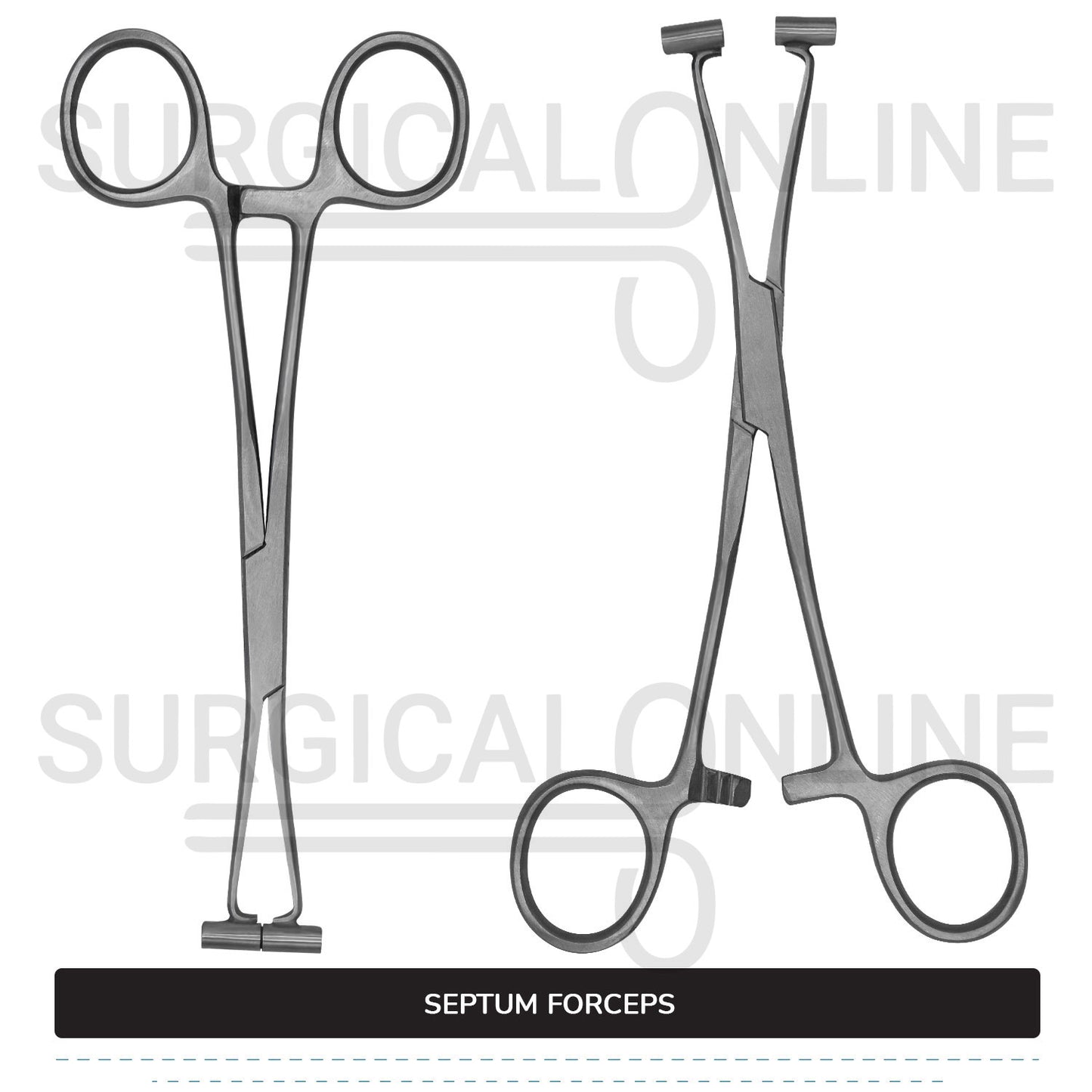 Septum Forceps 6″