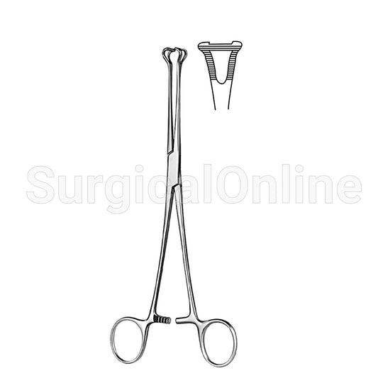 Babcock Tissue Forceps 8.25"