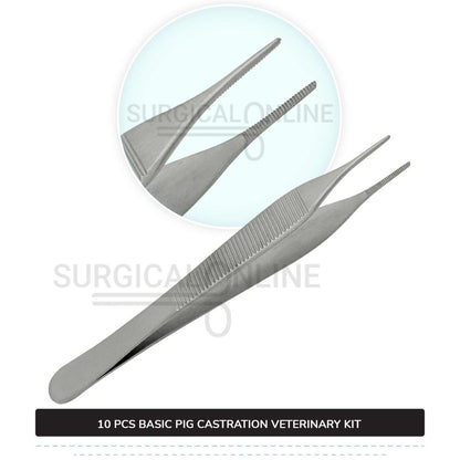 10 Pcs Basic Pig Castration Kit Stainless Steel Surgical Veterinary Instruments Set with ???? Carrying Case