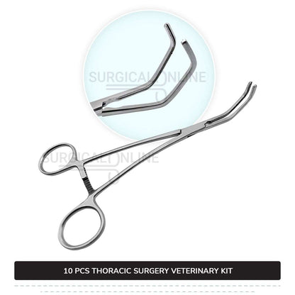 10 Pcs Thoracic Surgery Kit Stainless Steel Surgical Veterinary Instruments Set