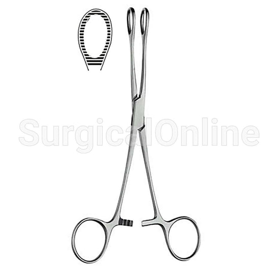 Foerster Sponge Forceps Serrated Straight 7.00"