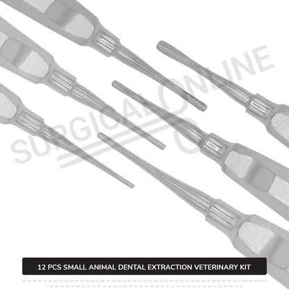 12 Pcs Small Animal Dental Extraction Kit Stainless Steel Surgical Veterinary Instruments Set with ???? Blades