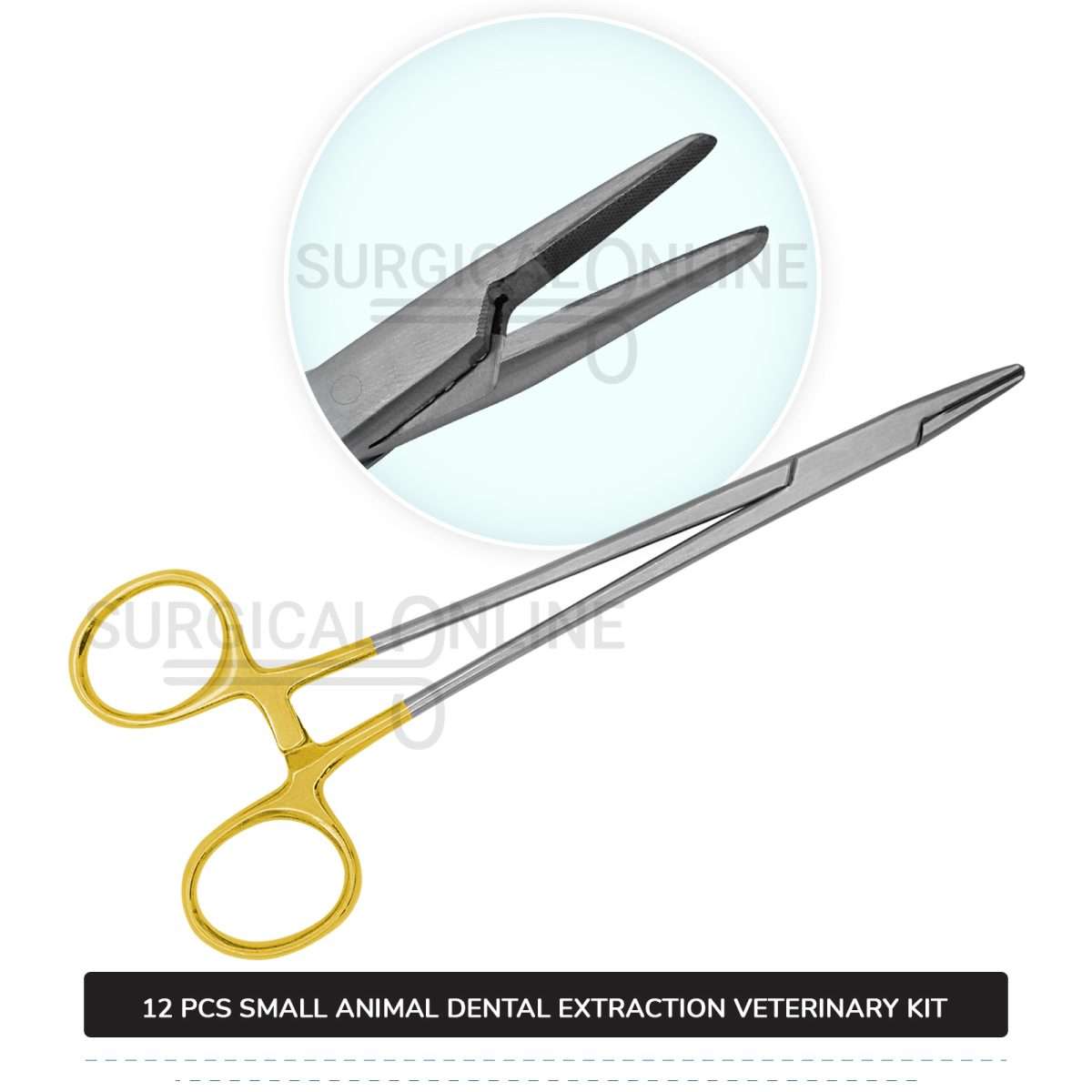 12 Pcs Small Animal Dental Extraction Kit Stainless Steel Surgical Veterinary Instruments Set with ???? Blades