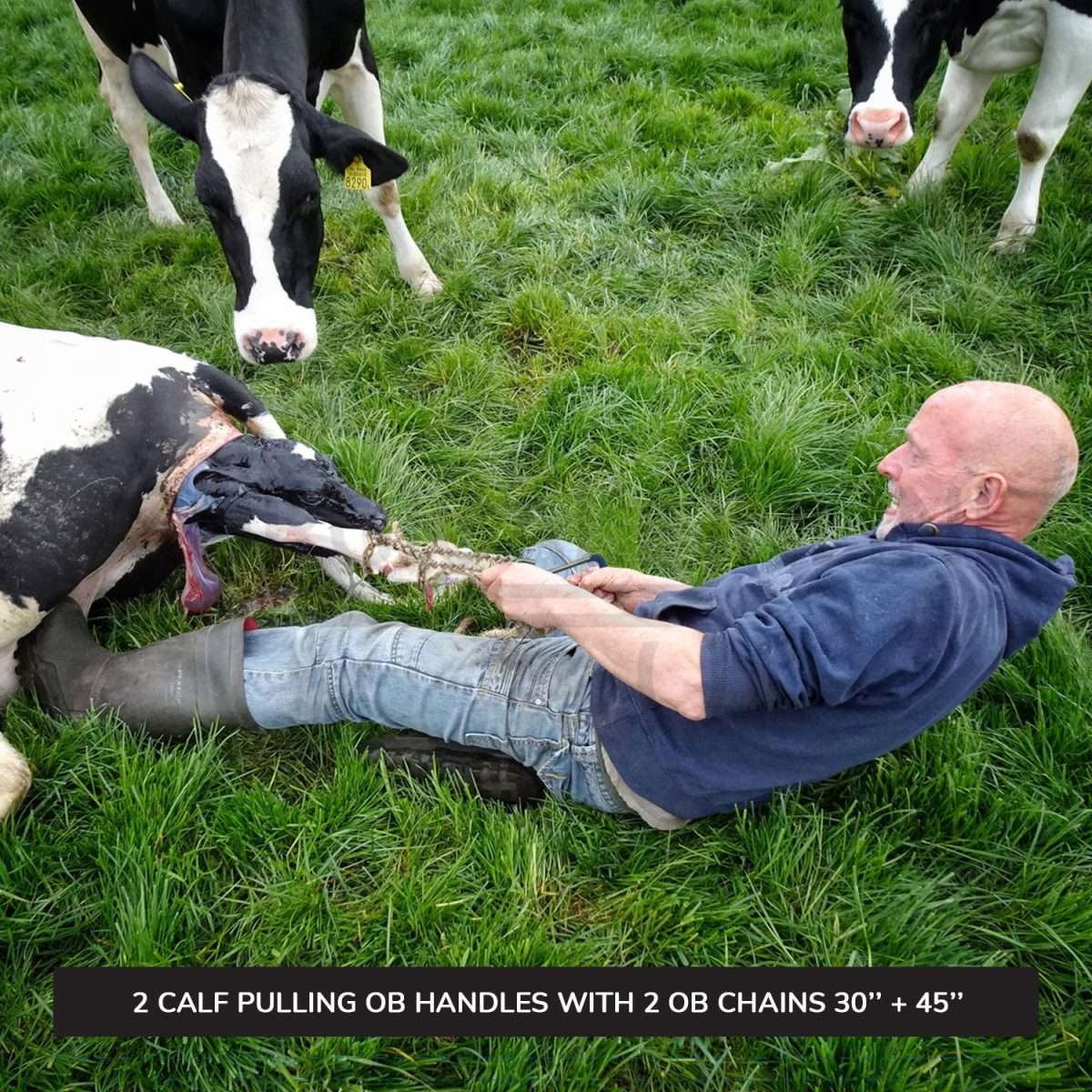 2 Ob Chains 30" & 45" With 2 Ob Handles Calf Pulling Cattle Birth Delivery Set Surgical Veterinary Instruments