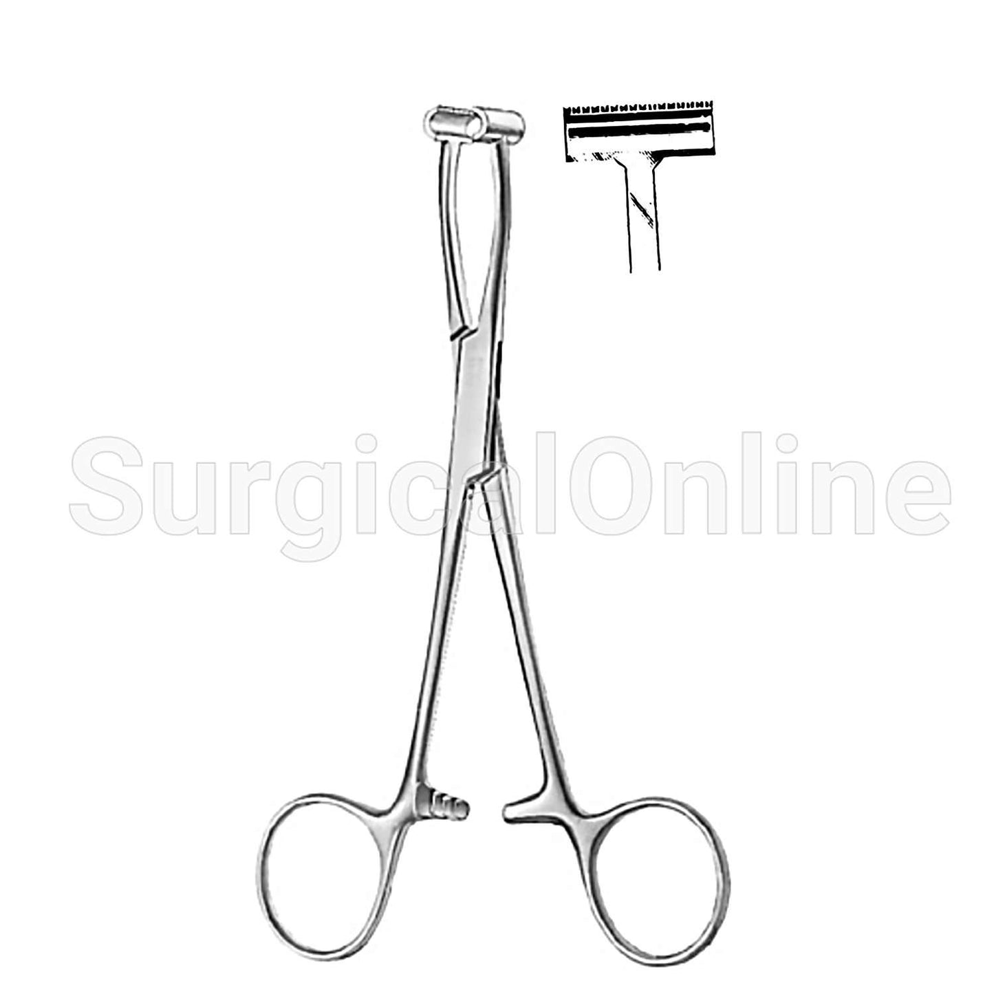 Pratt Smith "T" Forcep 6.00"