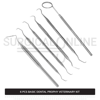 6 Pcs Basic Dental Prophy Kit Stainless Steel Surgical Veterinary Instruments Set