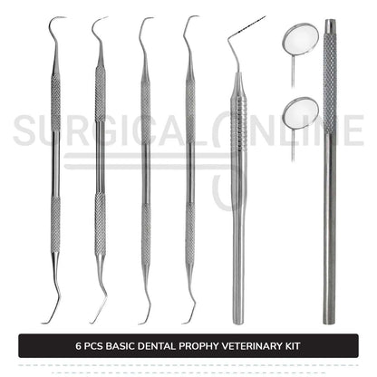 6 Pcs Basic Dental Prophy Kit Stainless Steel Surgical Veterinary Instruments Set
