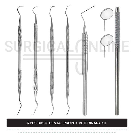 6 Pcs Basic Dental Prophy Kit Stainless Steel Surgical Veterinary Instruments Set