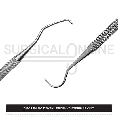 6 Pcs Basic Dental Prophy Kit Stainless Steel Surgical Veterinary Instruments Set