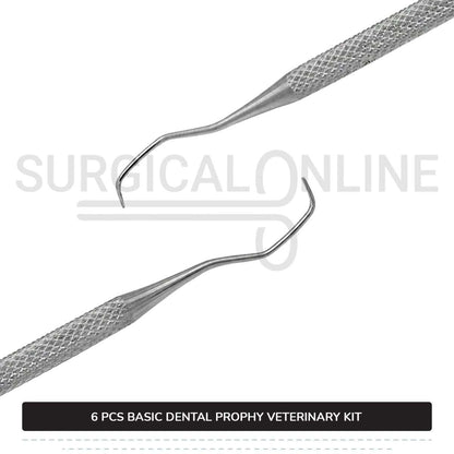6 Pcs Basic Dental Prophy Kit Stainless Steel Surgical Veterinary Instruments Set