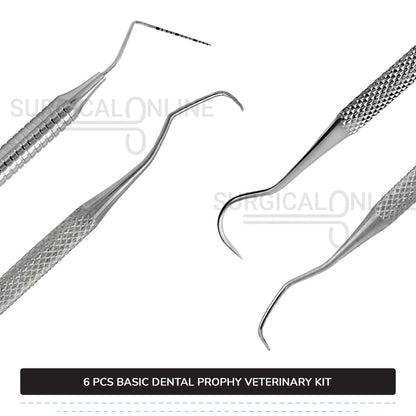 6 Pcs Basic Dental Prophy Kit Stainless Steel Surgical Veterinary Instruments Set