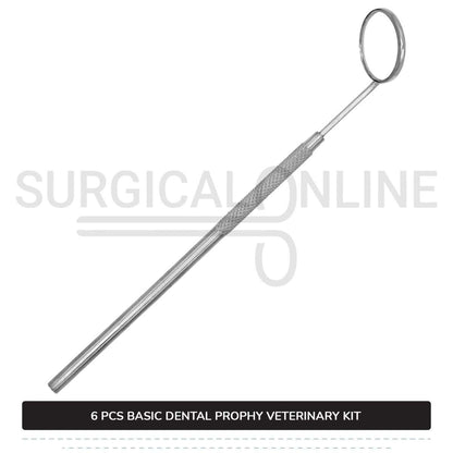 6 Pcs Basic Dental Prophy Kit Stainless Steel Surgical Veterinary Instruments Set
