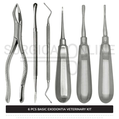 6 Pcs Basic Exodontia Set Stainless Steel Surgical Veterinary Instruments Kit